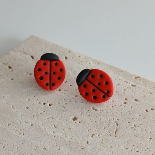 Coccinelle